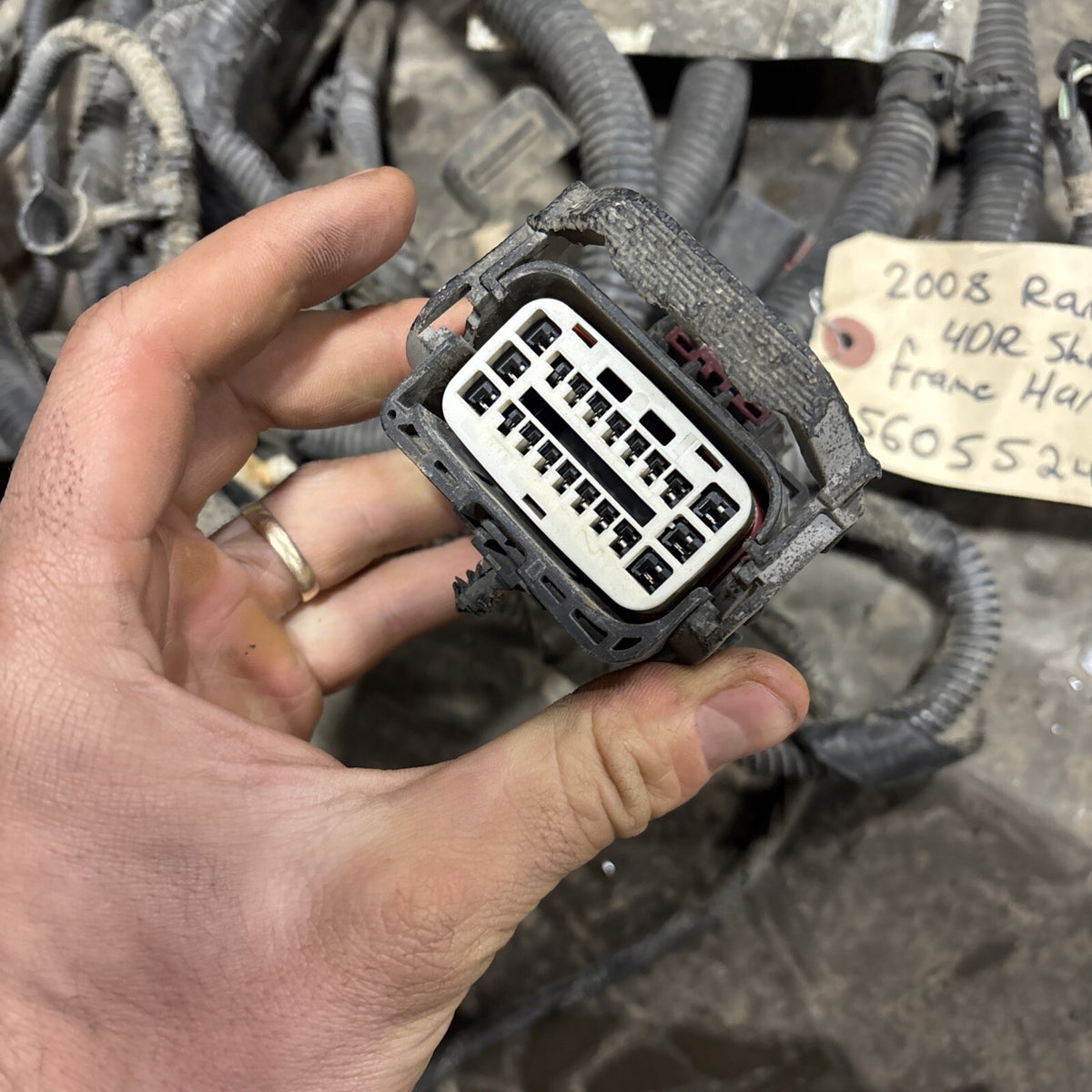 2007 2008 DODGE RAM 1500 CHASSIS FRAME HARNESS 56055248ae 4dr Shortbox