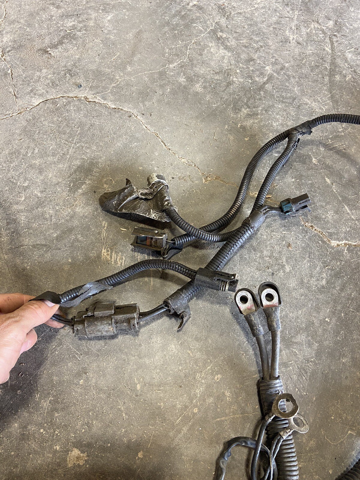 1996 DODGE RAM 2500 3500 CUMMINS 5SPD 2WD ENGINE HARNESS 56011501AF CUT SECTION*