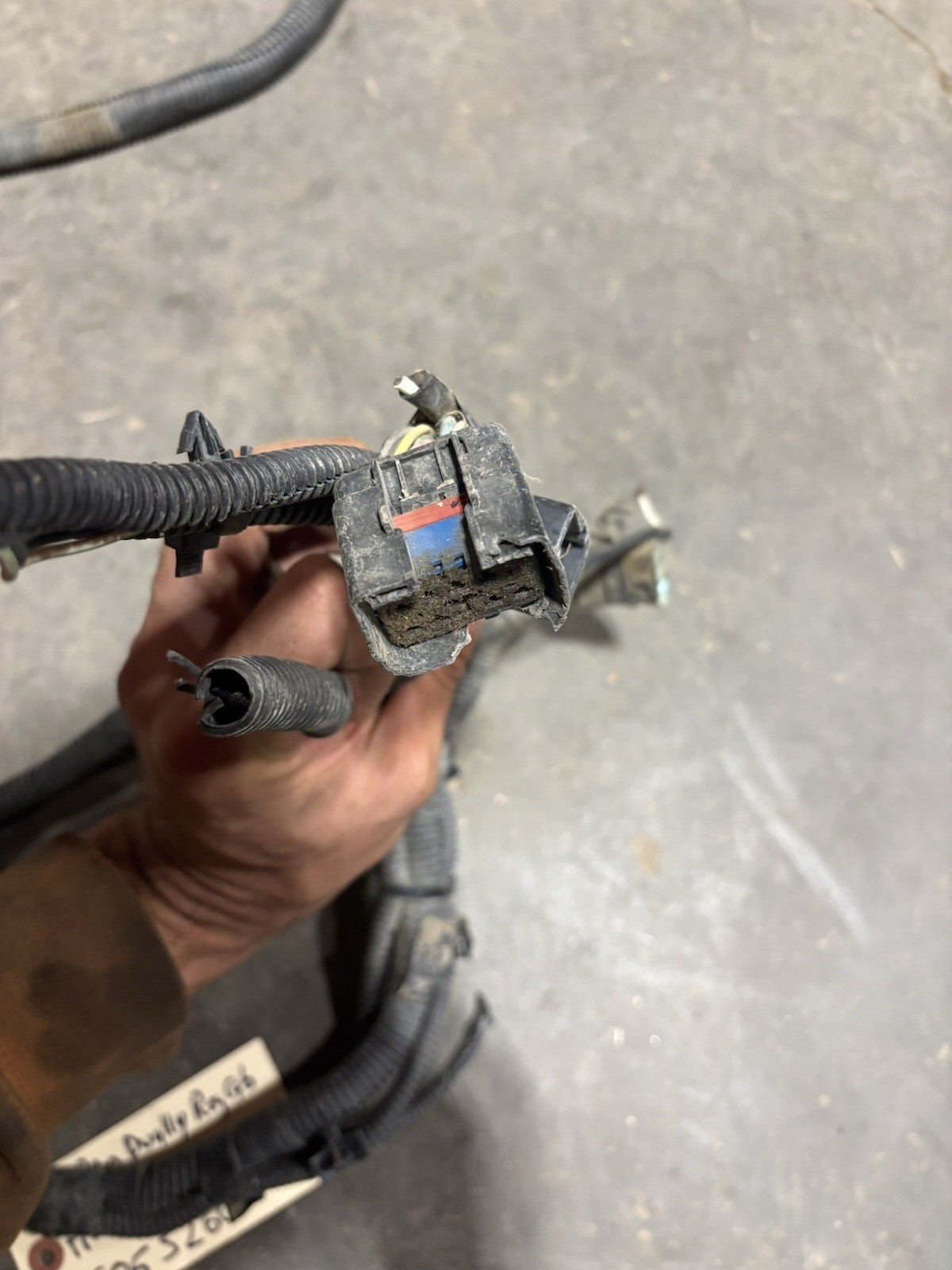 2006 2007 DODGE RAM 3500 REG CAB DUALLY FRAME WIRING HARNESS 56055260AC