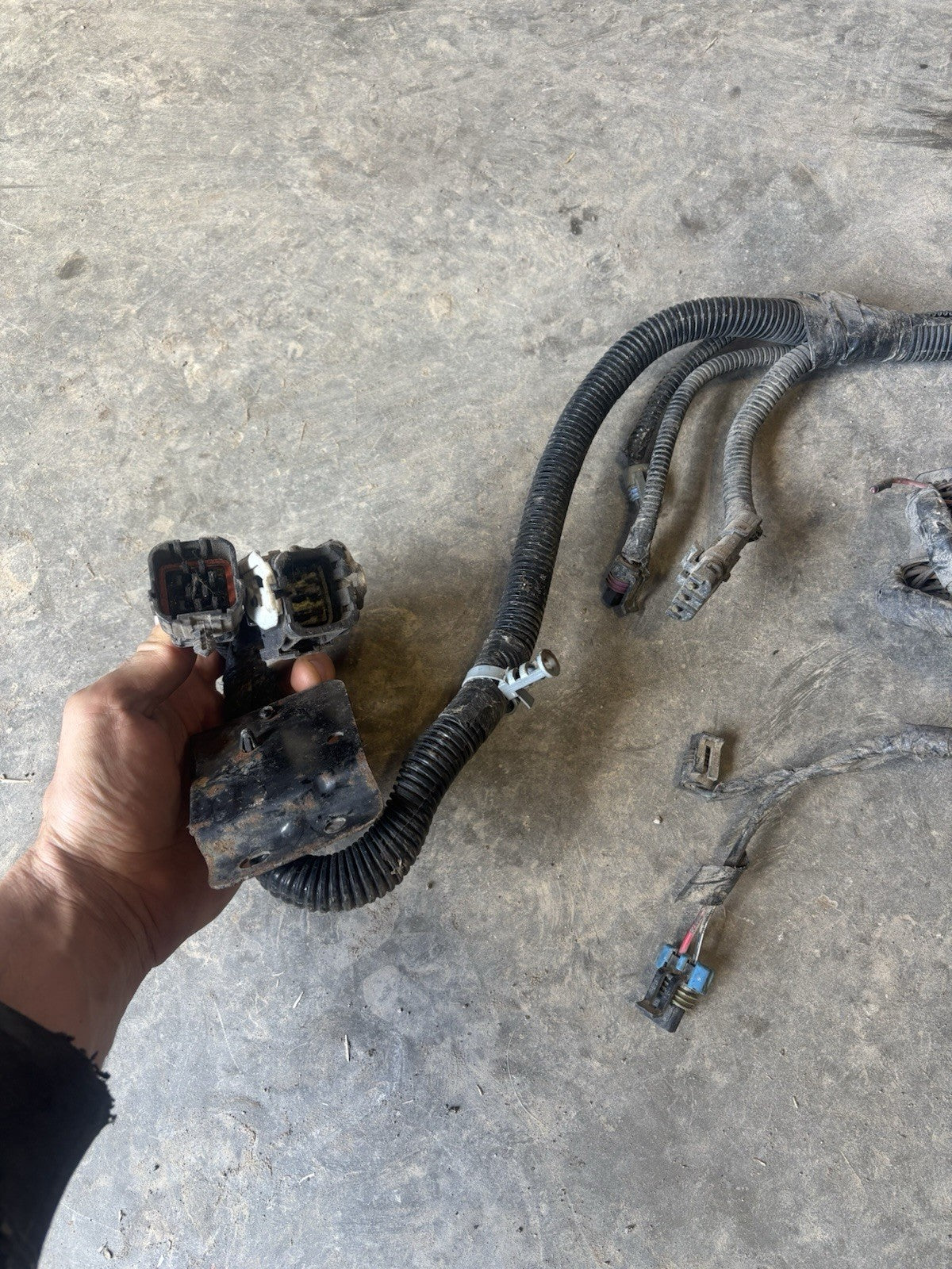 2000 Early 2001 DODGE RAM 2500 3500 CUMMINS 24V ENGINE HARNESS  With Cranksensor