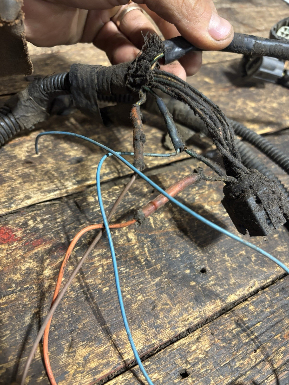 2004 2005 DODGE RAM 5.9L CUMMINS AUTOMATIC TRANSMISSION WIRING HARNESS 56051726