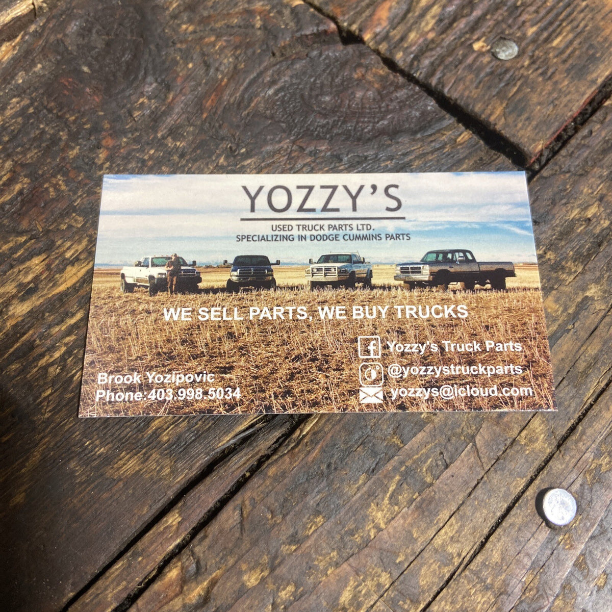 1998 - 2002 DODGE RAM 2500 3500 TAN BROWN OEM A PILLAR SET WITH TWEETER SPEAKERS