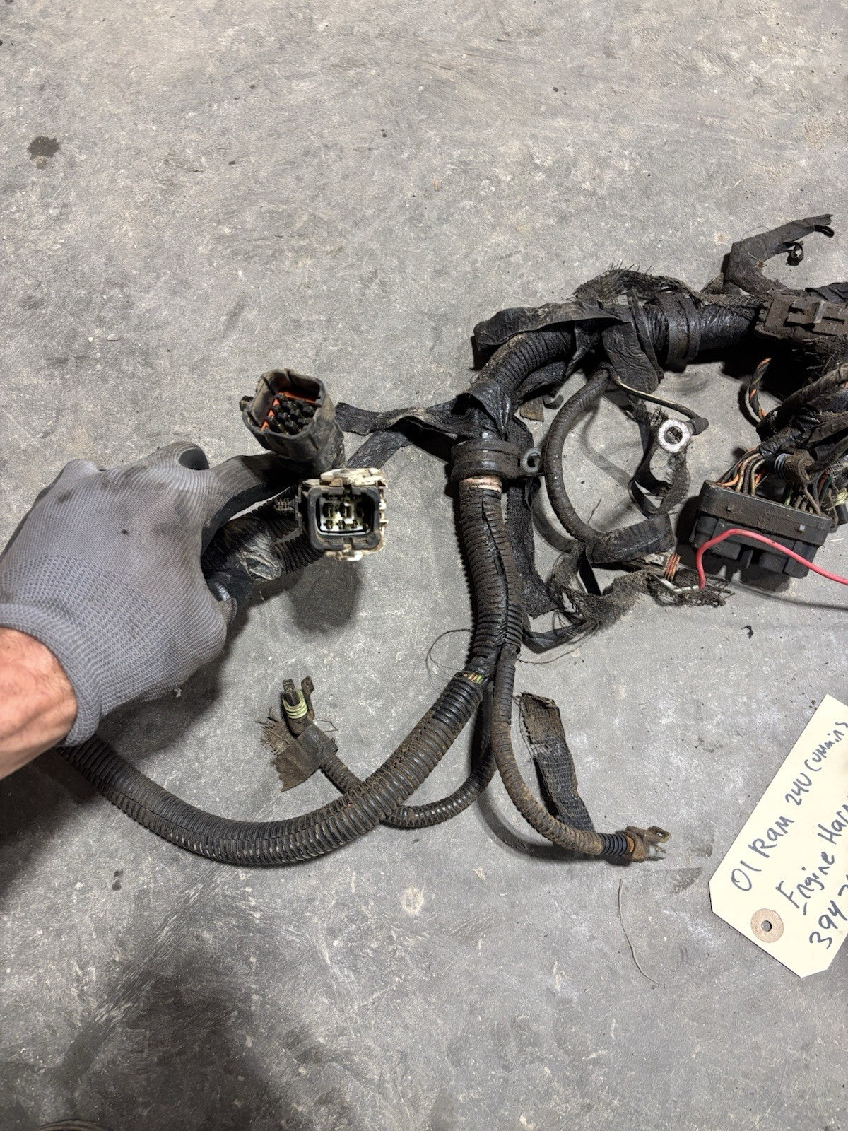 2001 DODGE RAM 2500 3500 24v 5.9l CUMMINS ENGINE HARNESS Pn 3947682