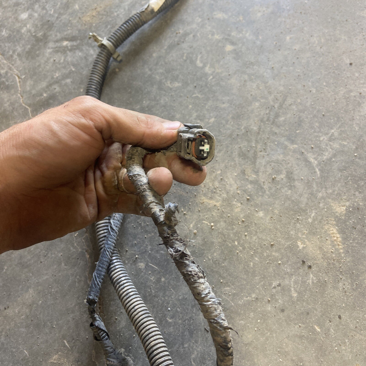 2001 2002 Dodge Ram 2500/3500 Frame Wiring Harness Ext SB Or Ext Lb 56045518AD