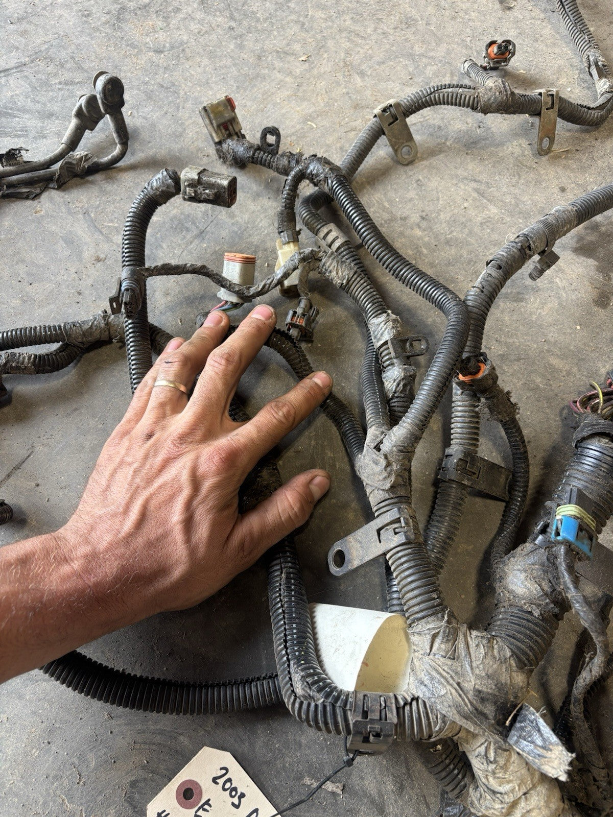 2003 DODGE RAM 2500 3500 5.9L CUMMINS AUTOMATIC ENGINE HARNESS