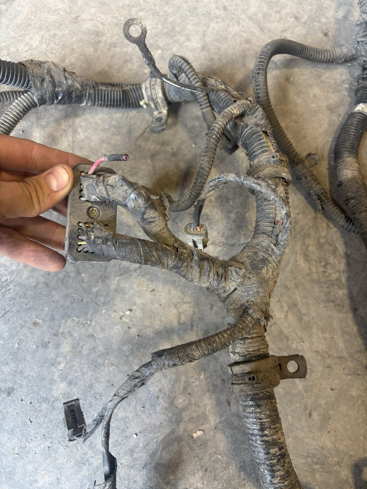 2000 Early 2001 DODGE RAM 2500 3500 CUMMINS 24V ENGINE HARNESS  With Cranksensor