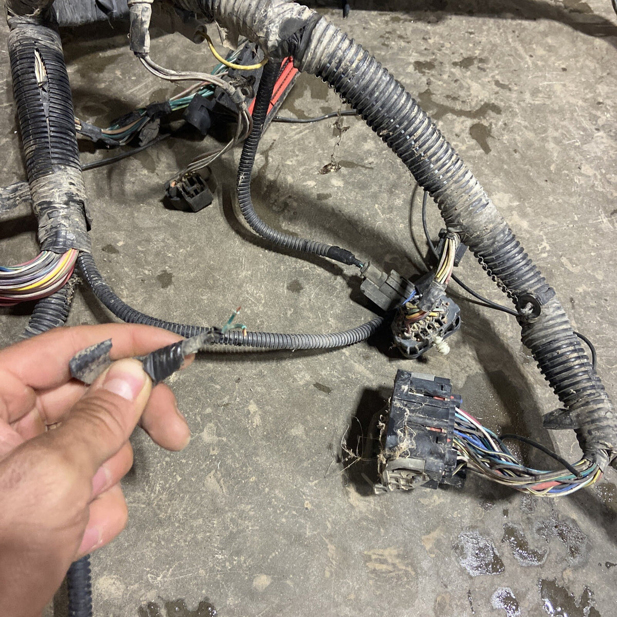 2006 DODGE RAM 2500 3500 CUMMINS ENGINE BAY WIRING HARNESS 56051330AD