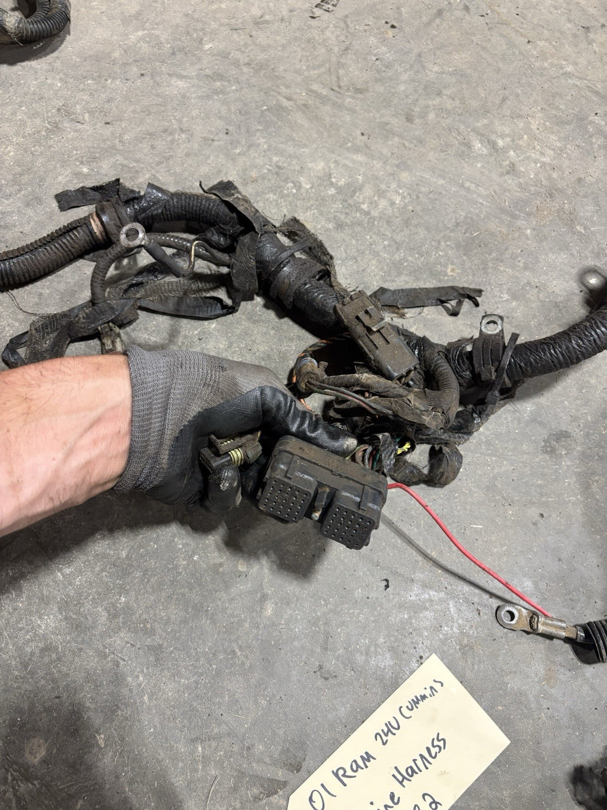 2001 DODGE RAM 2500 3500 24v 5.9l CUMMINS ENGINE HARNESS Pn 3947682