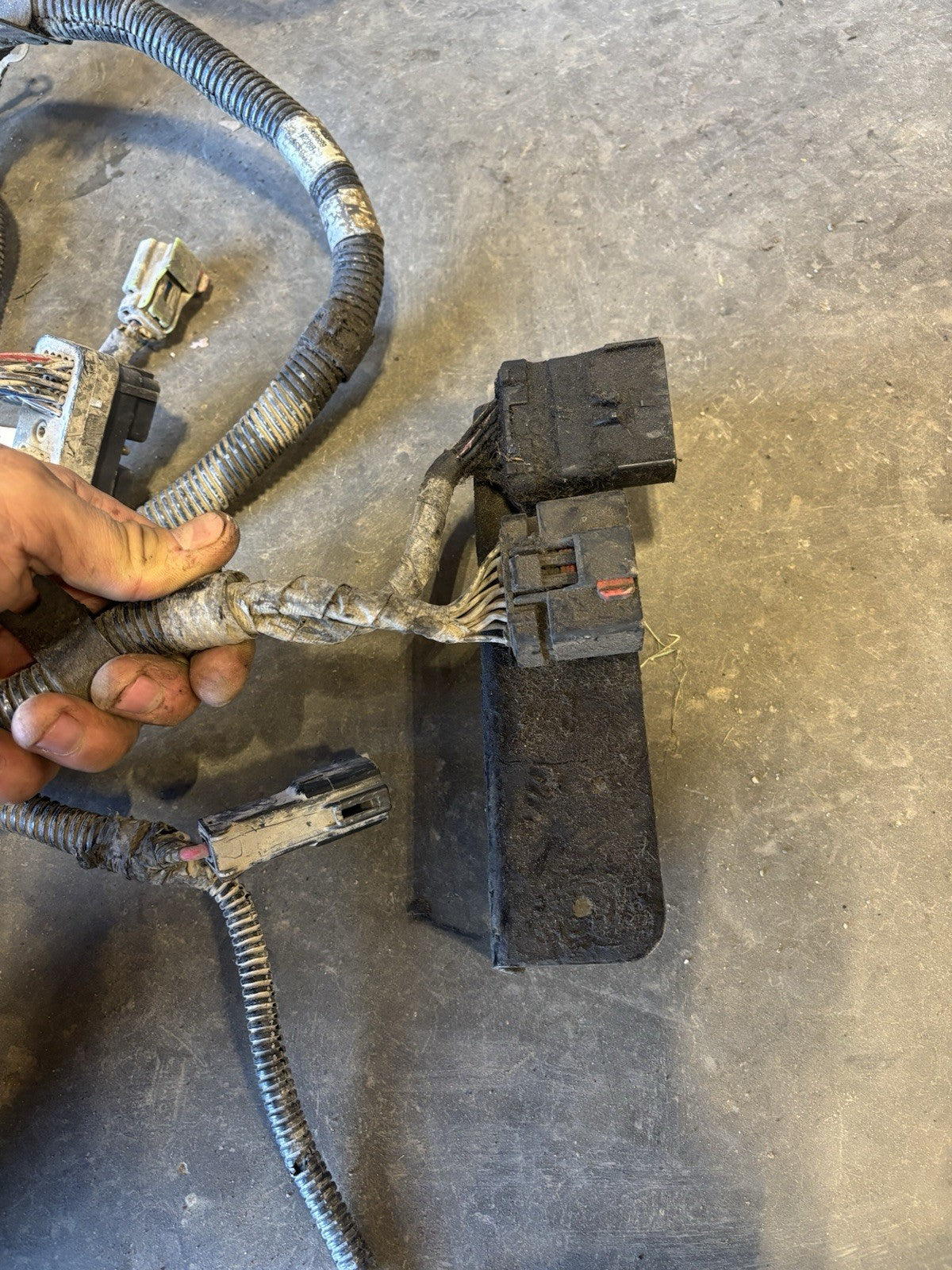 2004 .5 2005 DODGE RAM CUMMINS 6SPD MANUAL FULL ENGINE HARNESS 3969689 3969688