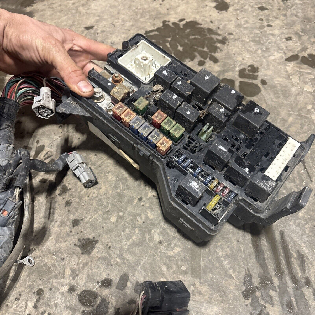 2000 DODGE RAM 2500 SPORT DUAL BULB ENGINE BAY WIRING HARNESS 56045266af