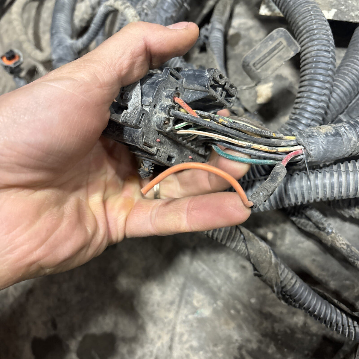 2007 2008 DODGE RAM 1500 CHASSIS FRAME HARNESS 56055248ae 4dr Shortbox