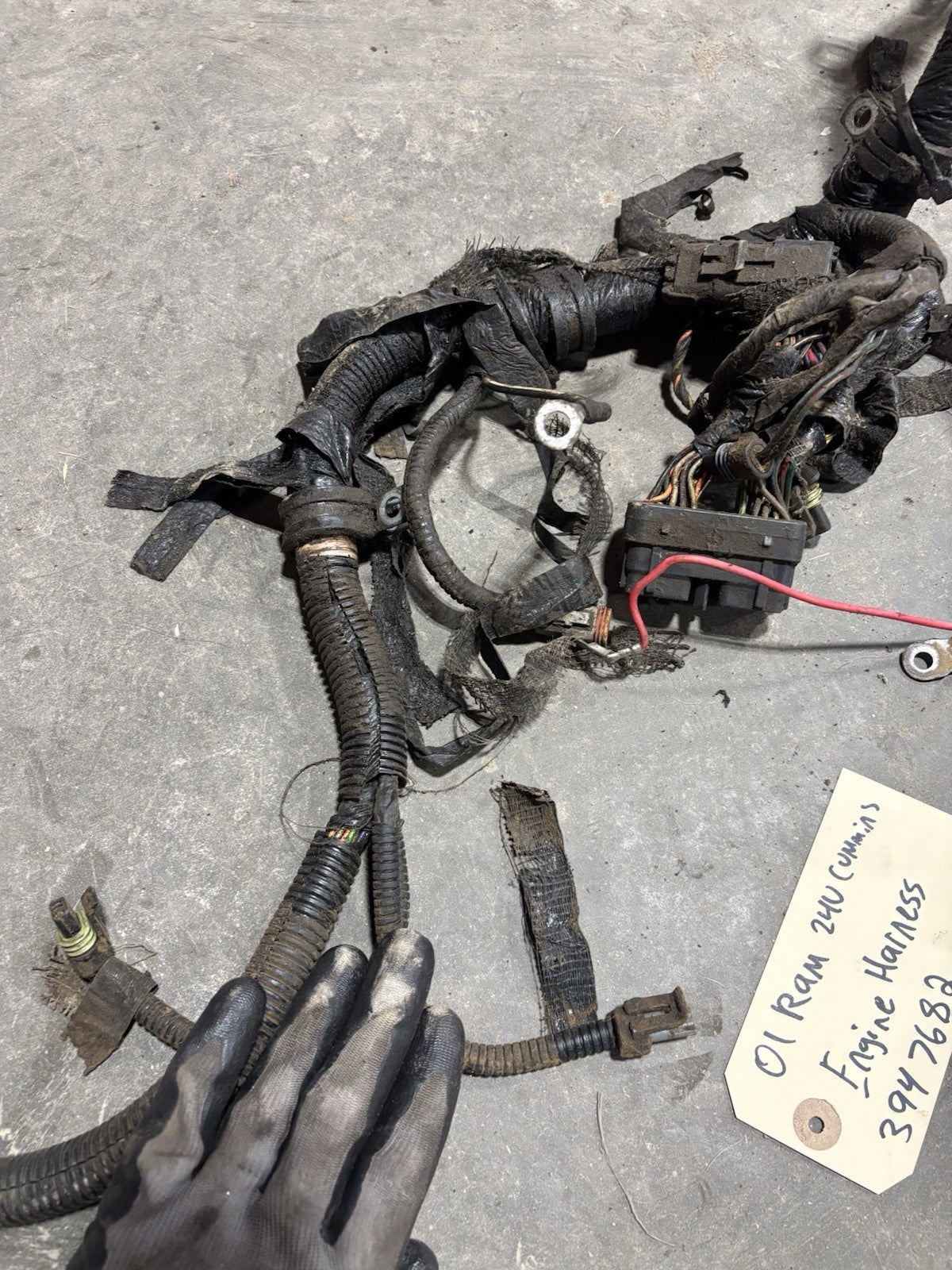 2001 DODGE RAM 2500 3500 24v 5.9l CUMMINS ENGINE HARNESS Pn 3947682