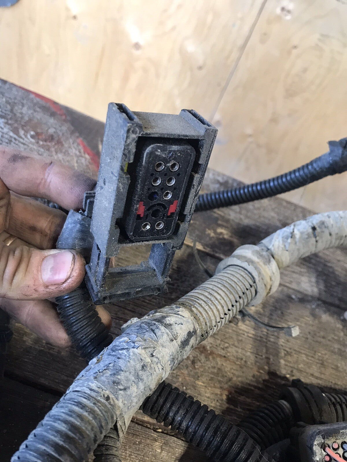 2002 DODGE RAM 2500 3500 CUMMINS MANUAL COMPLETE ENGINE WIRING HARNESS 3949898