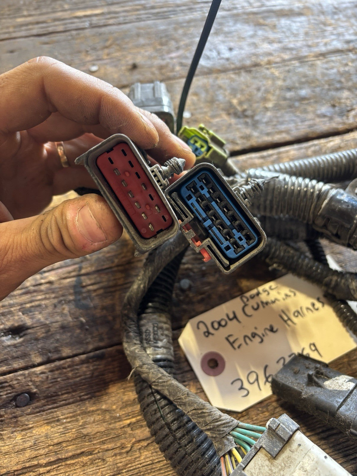 2004 DODGE RAM CUMMINS ENGINE WIRING HARNESS PN 3693769