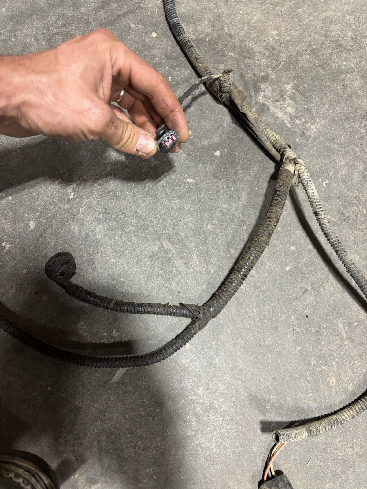 1994 DODGE RAM 12V CUMMINS COMPLETE ENGINE / AUTO TRANS HARNESS 56018075