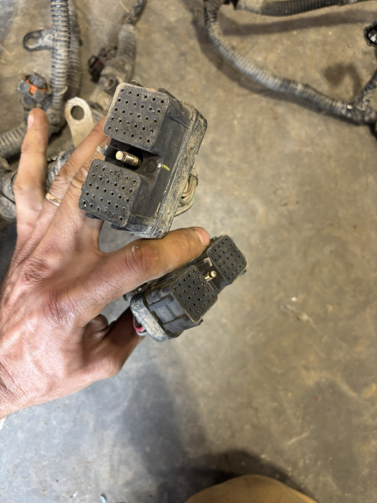 2004 .5 2005 DODGE RAM CUMMINS 6SPD MANUAL FULL ENGINE HARNESS 3969689 3969688