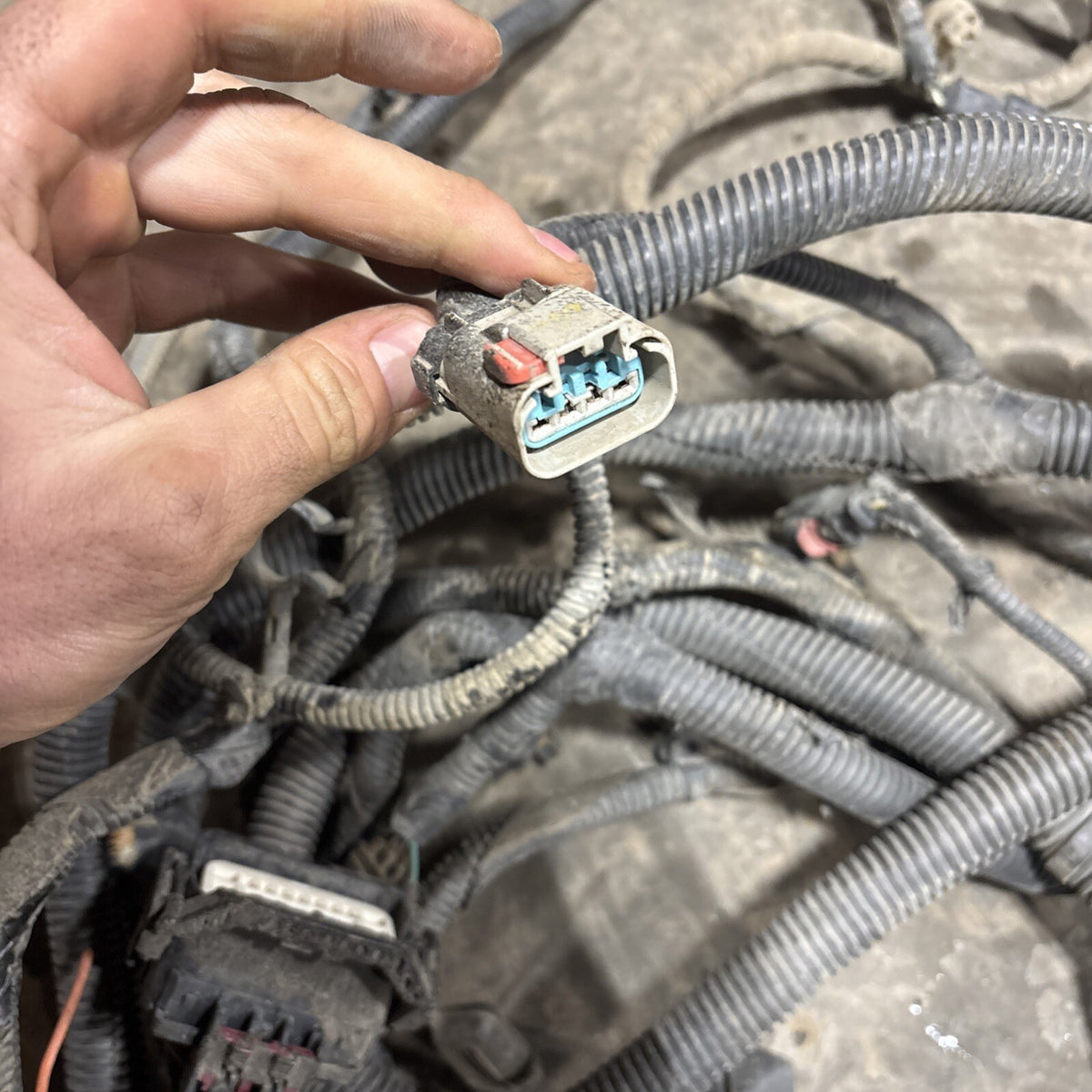 2007 2008 DODGE RAM 1500 CHASSIS FRAME HARNESS 56055248ae 4dr Shortbox