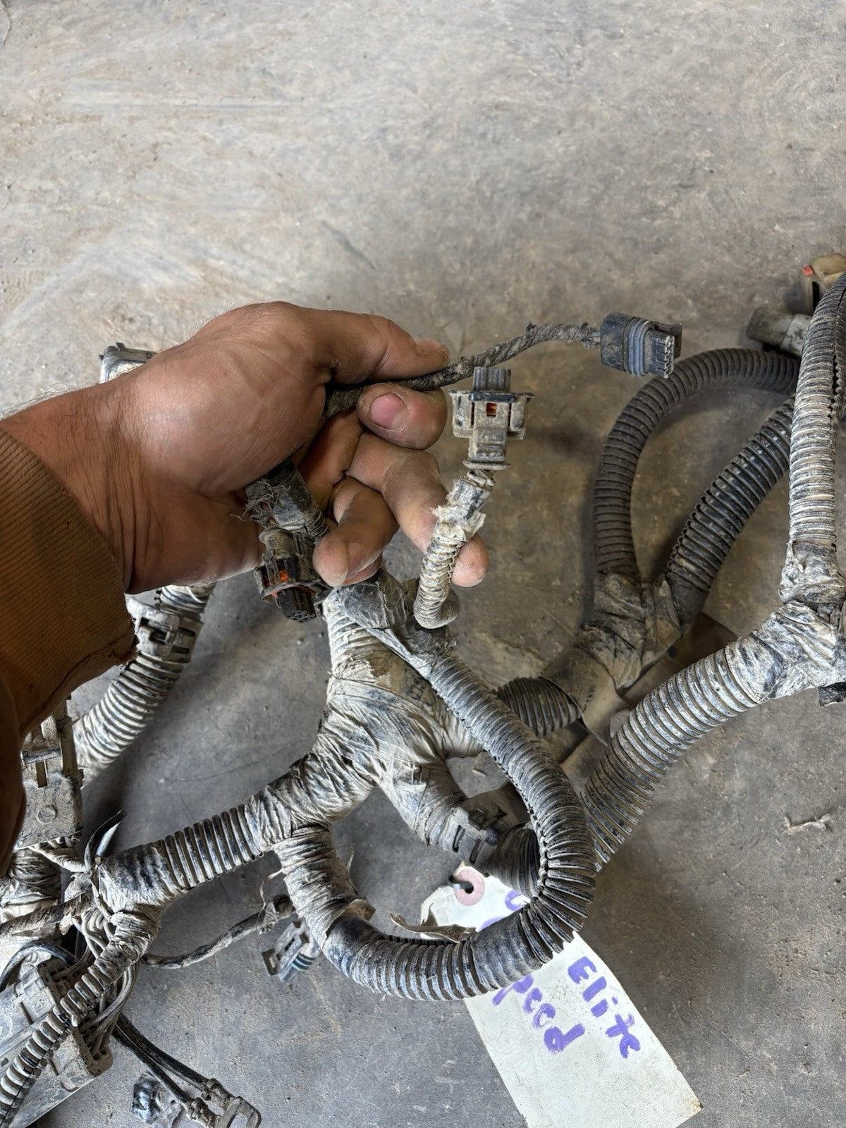 2004 .5 2005 DODGE RAM CUMMINS 6SPD MANUAL FULL ENGINE HARNESS 3969689 3969688