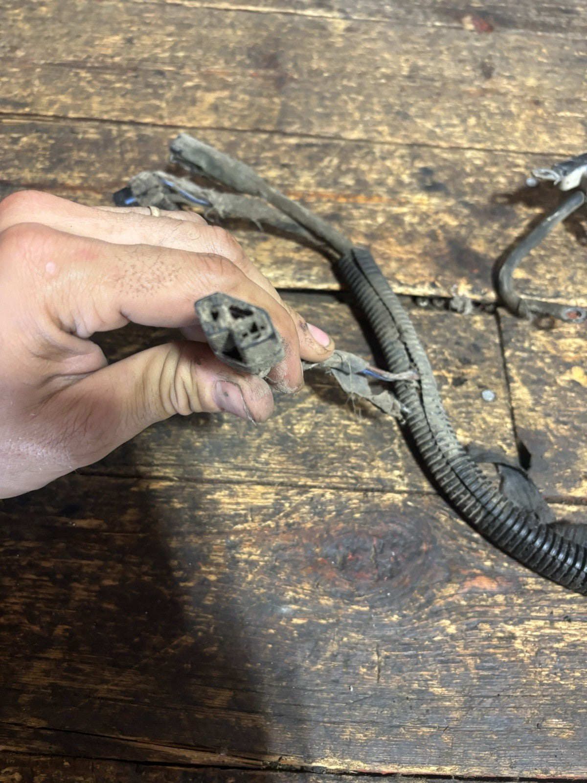 1989-1993 DODGE RAM 250 350 5.9L 1ST GEN CUMMINS ALTERNATOR HARNESS 53017288