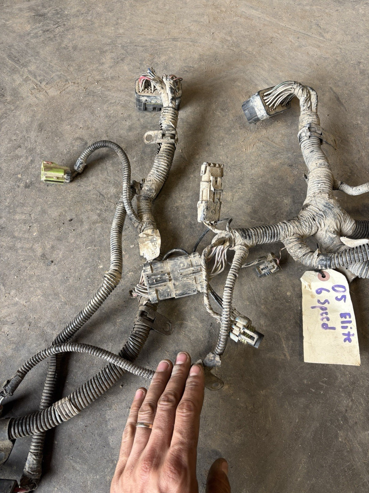 2004 .5 2005 DODGE RAM CUMMINS 6SPD MANUAL FULL ENGINE HARNESS 3969689 3969688