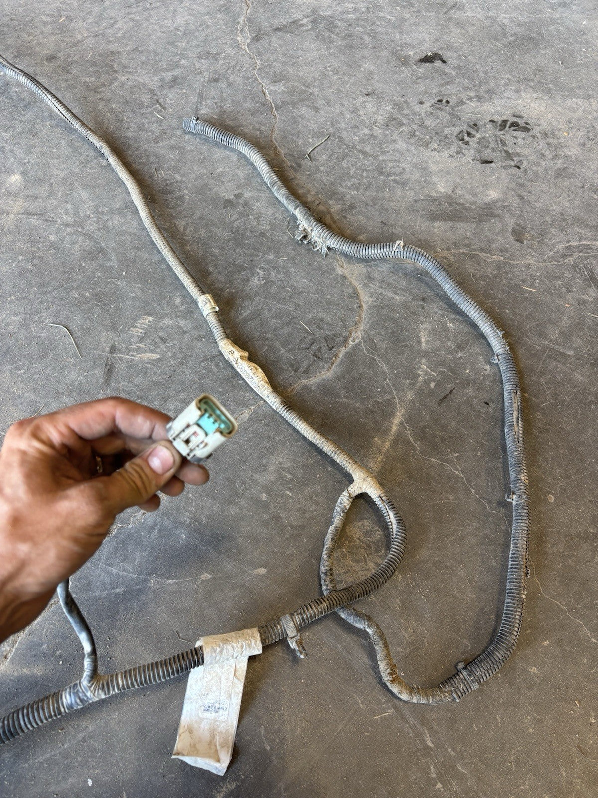 1998 DODGE RAM 2500 CUMMINS FRAME WIRING HARNESS EXT CAB SHRT/long Bx 56020492AB