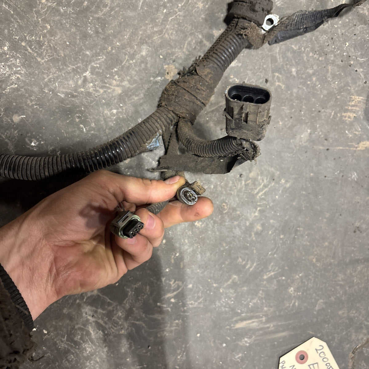 2000 .5 2001 DODGE RAM 2500 3500 5.924v CUMMINS 5SPD 6SPD ENGINE HARNESS 3946666