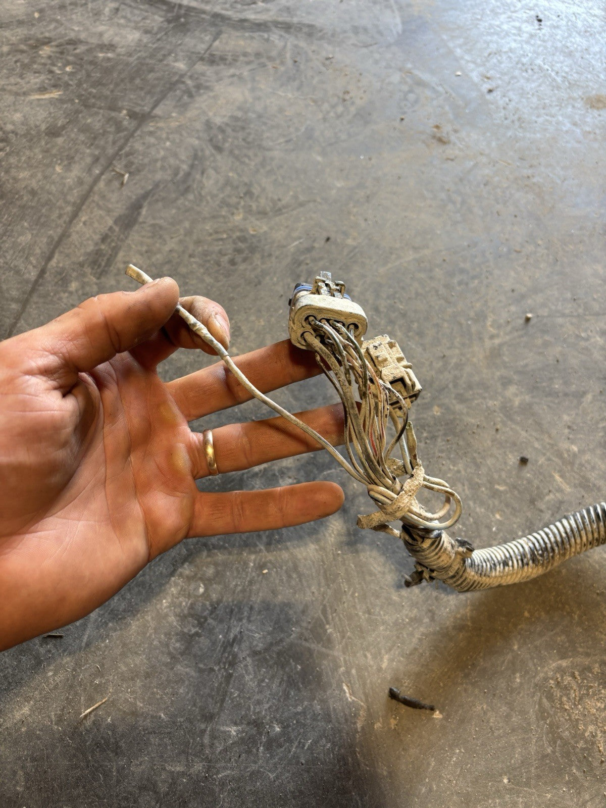 1995 DODGE RAM 2500 3500 CUMMINS ENGINE BAY WIRING HARNESS 56020304