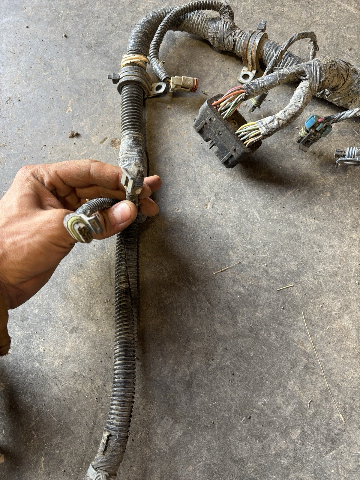 2000 Early 2001 DODGE RAM 2500 3500 CUMMINS 24V ENGINE HARNESS  With Cranksensor