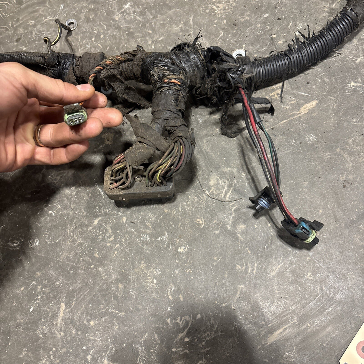 2000 .5 2001 DODGE RAM 2500 3500 5.924v CUMMINS 5SPD 6SPD ENGINE HARNESS 3946666