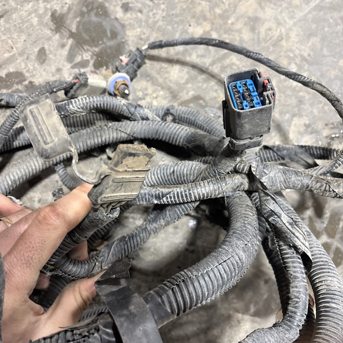 2007 2008 DODGE RAM 1500 CHASSIS FRAME HARNESS 56055248ae 4dr Shortbox