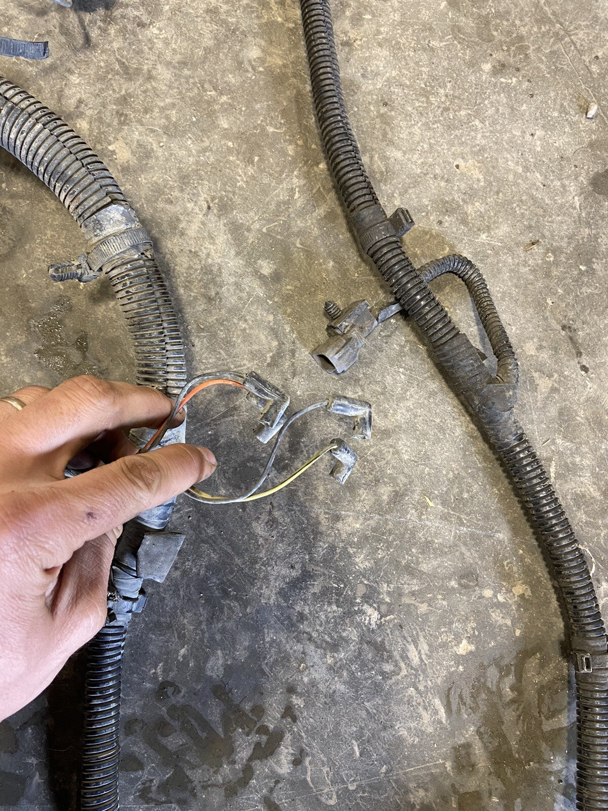 2000 DODGE RAM 2500 3500 CUMMINS ENGINE BAY FUSEBOX WIRING HARNESS PN 56045426AE