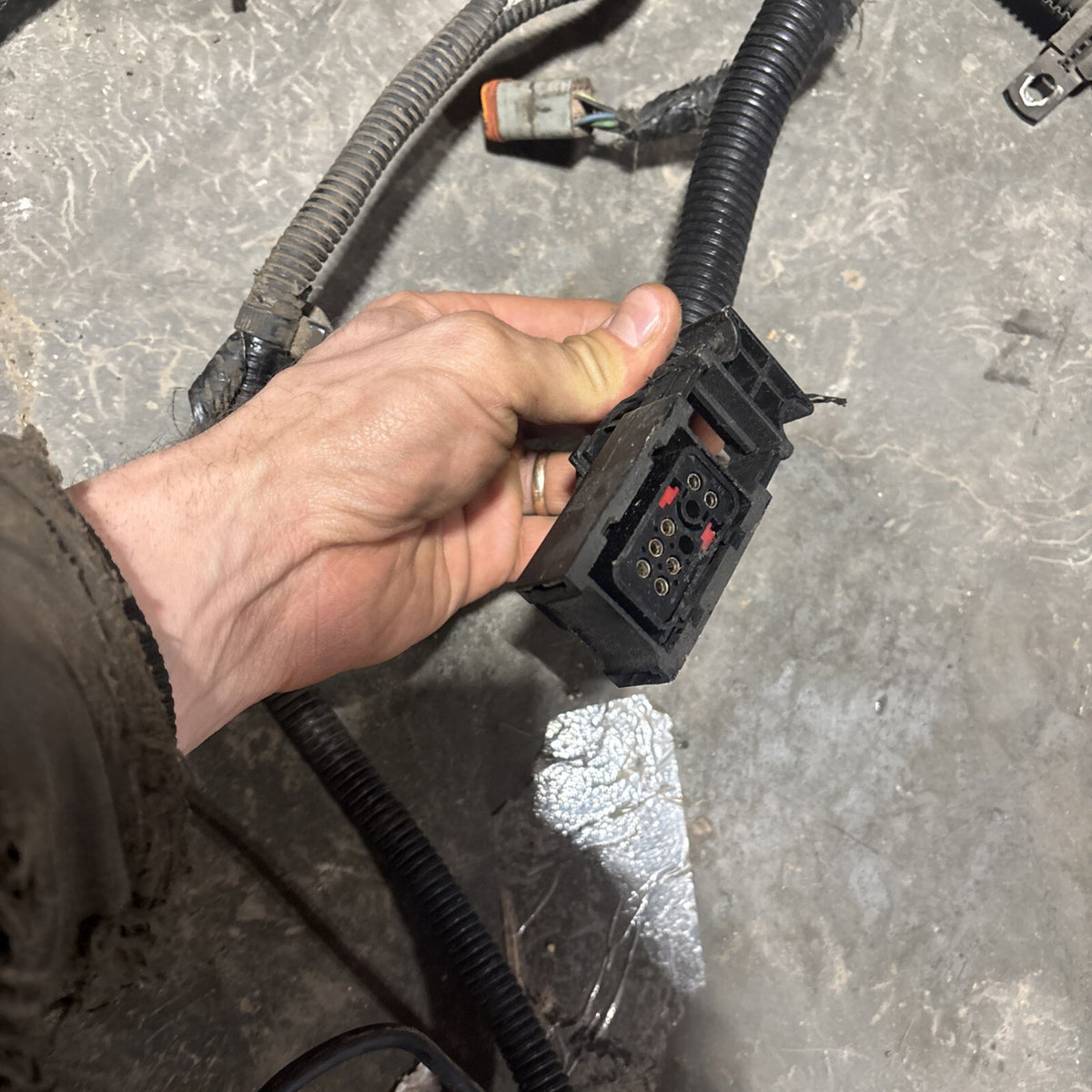 2000 .5 2001 DODGE RAM 2500 3500 5.924v CUMMINS 5SPD 6SPD ENGINE HARNESS 3946666