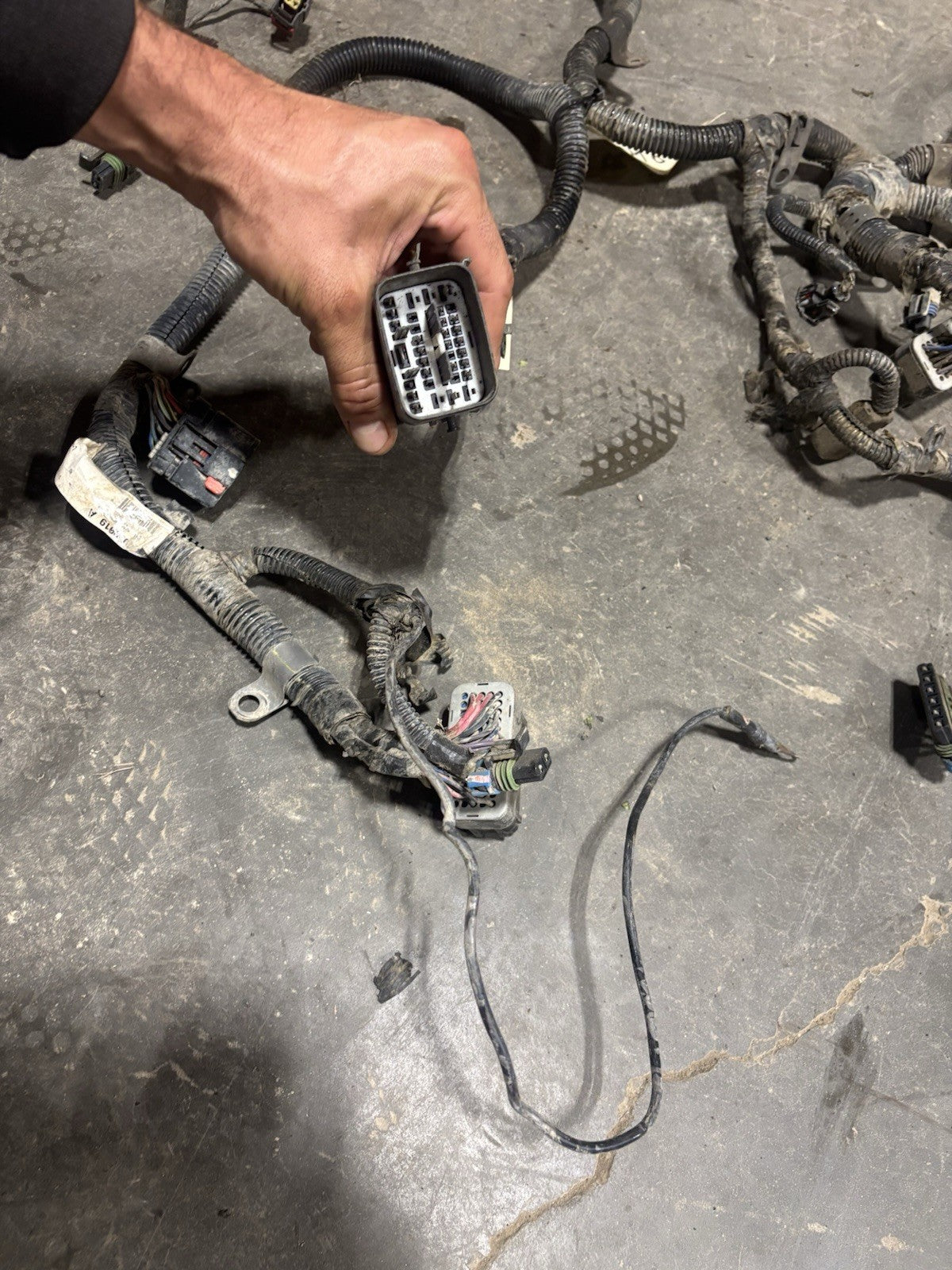 2006 2007 DODGE RAM 5.9L CUMMINS FULL ENGINE WIRING HARNESS 4931851 4939019