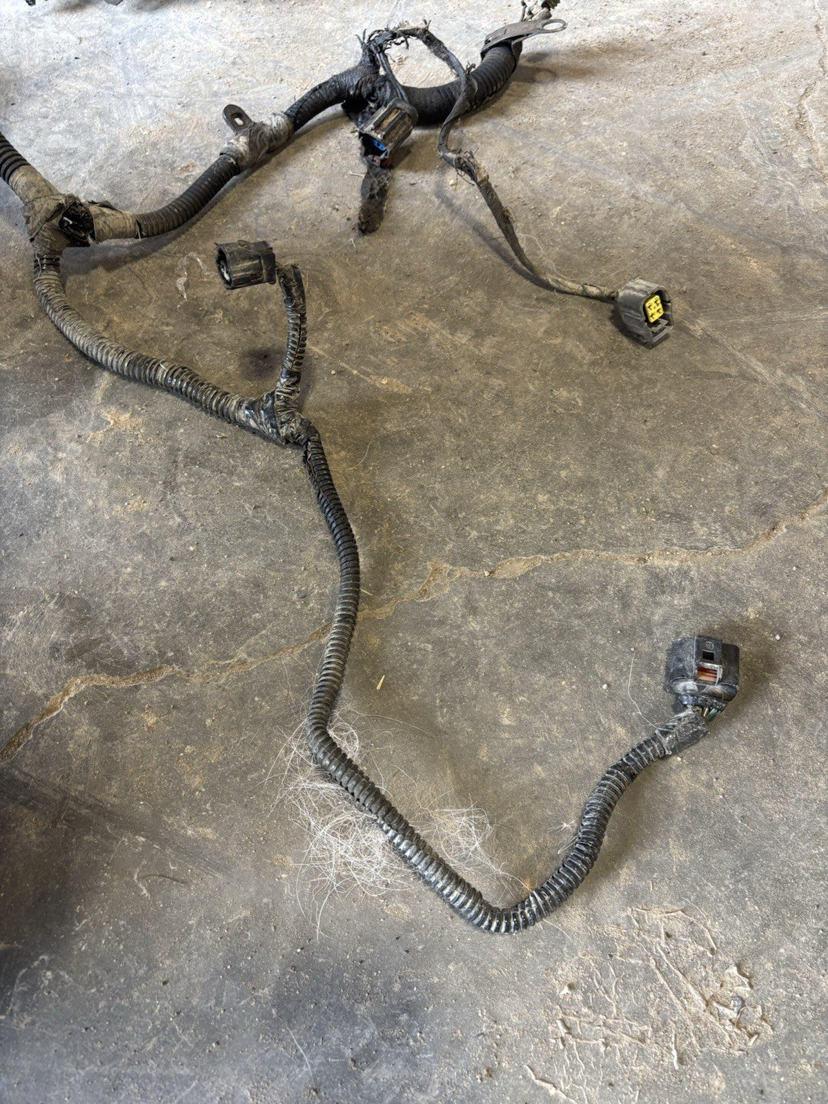 2004 .5 2005 DODGE RAM CUMMINS 6SPD MANUAL FULL ENGINE HARNESS 3969689 3969688