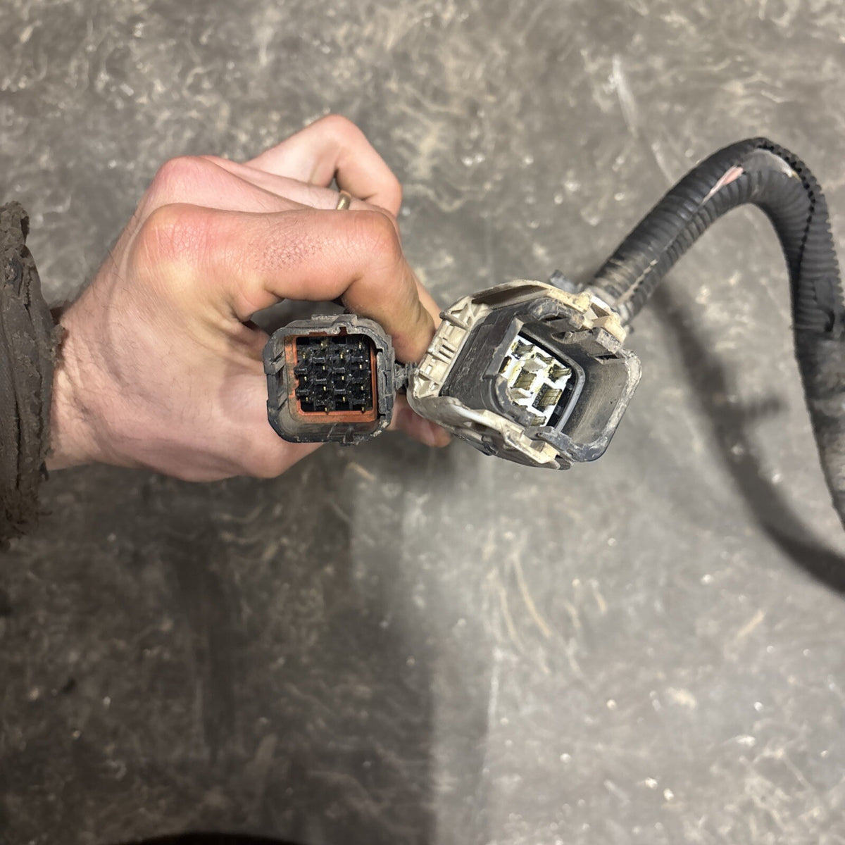 2000 .5 2001 DODGE RAM 2500 3500 5.924v CUMMINS 5SPD 6SPD ENGINE HARNESS 3946666