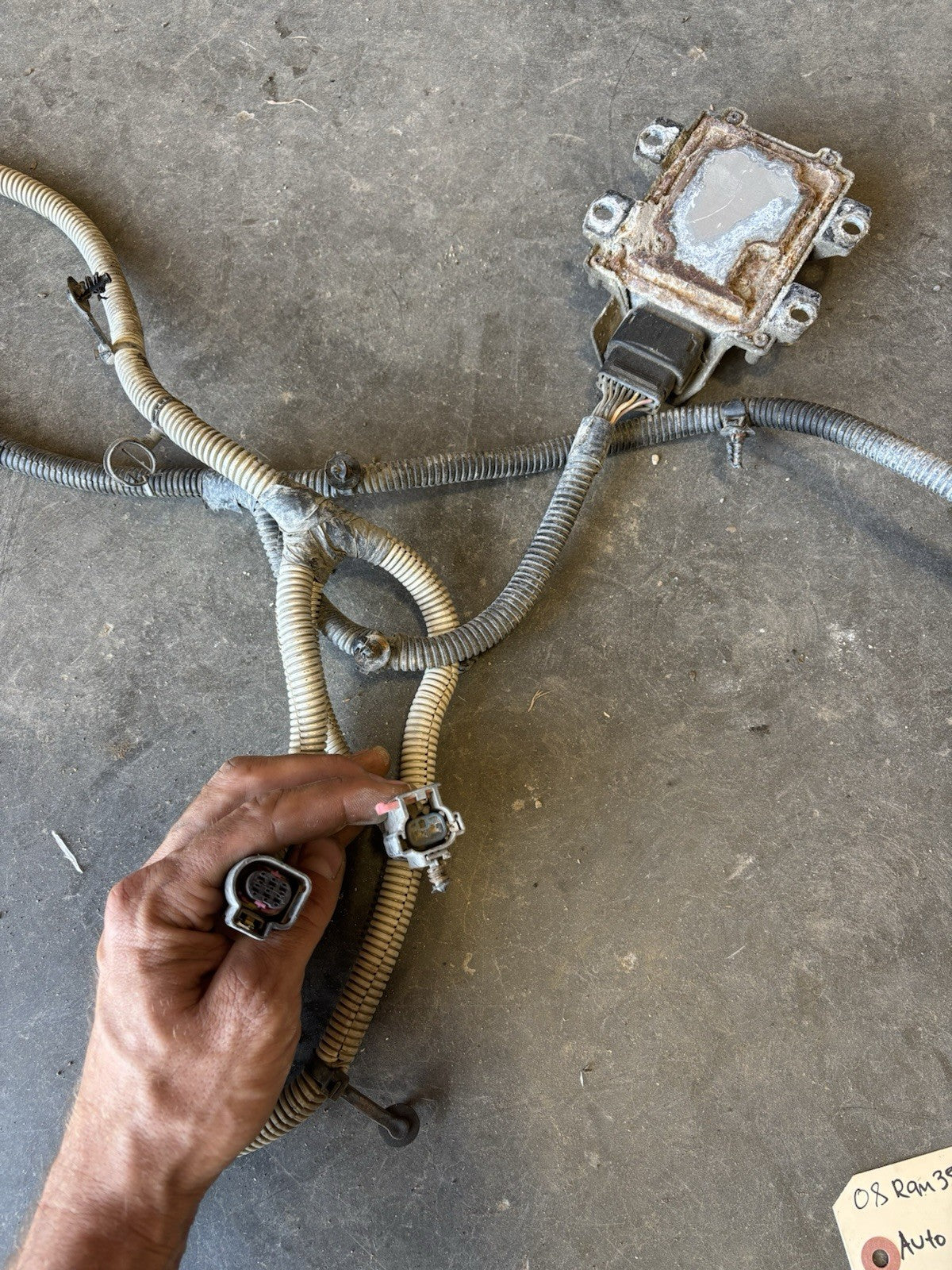 2007 .5 2008 DODGE RAM  6.7 CUMMINS AUTO TRANSMISSION WIRING HARNESS 04801410AE