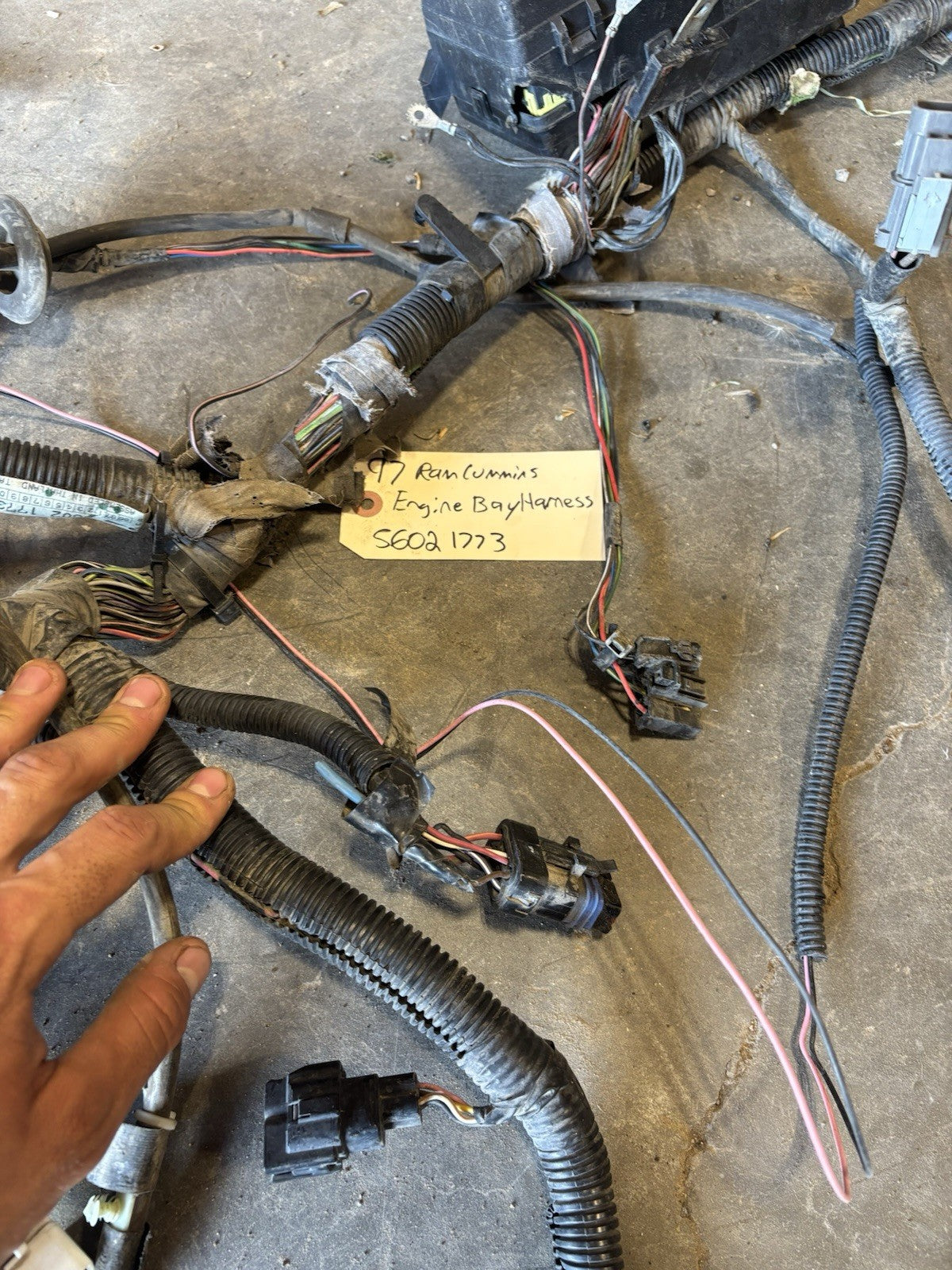 1997 DODGE RAM 2500 3500 CUMMINS ENGINE BAY WIRING HARNESS 56021773 Needs Work