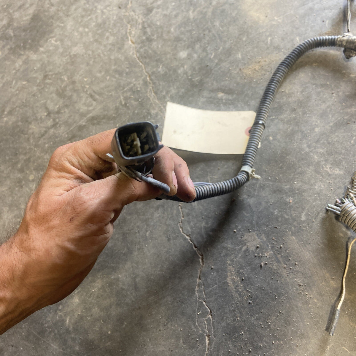 2001 2002 Dodge Ram 2500/3500 Frame Wiring Harness Ext SB Or Ext Lb 56045518AD