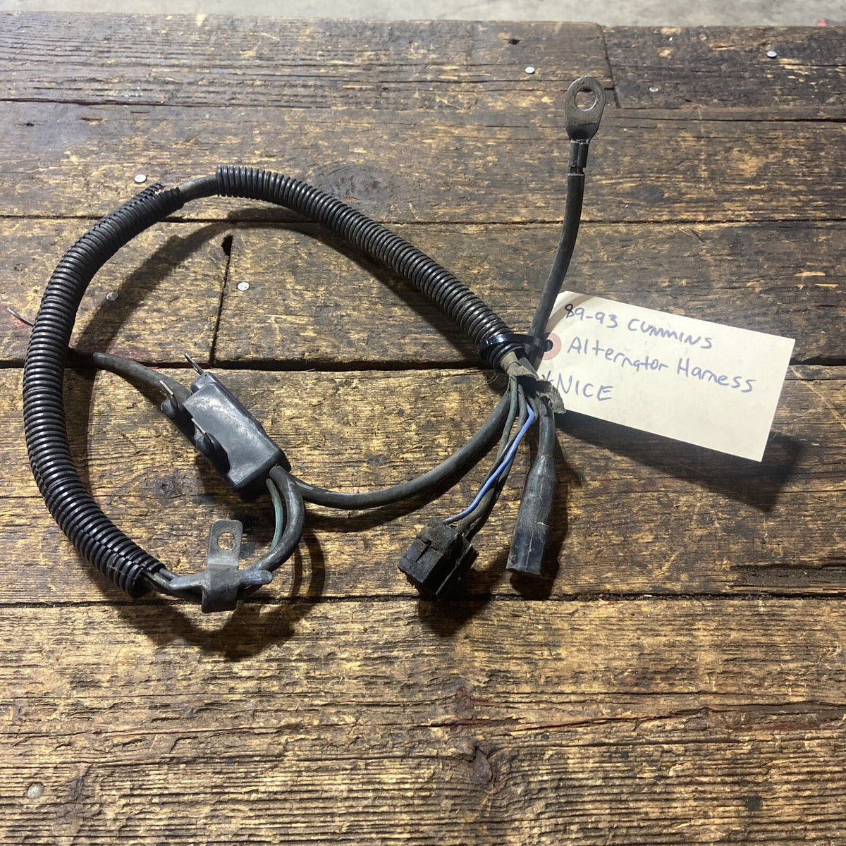 1989-1993 DODGE RAM 250 350 5.9L 1ST GEN CUMMINS ALTERNATOR HARNESS 53017288