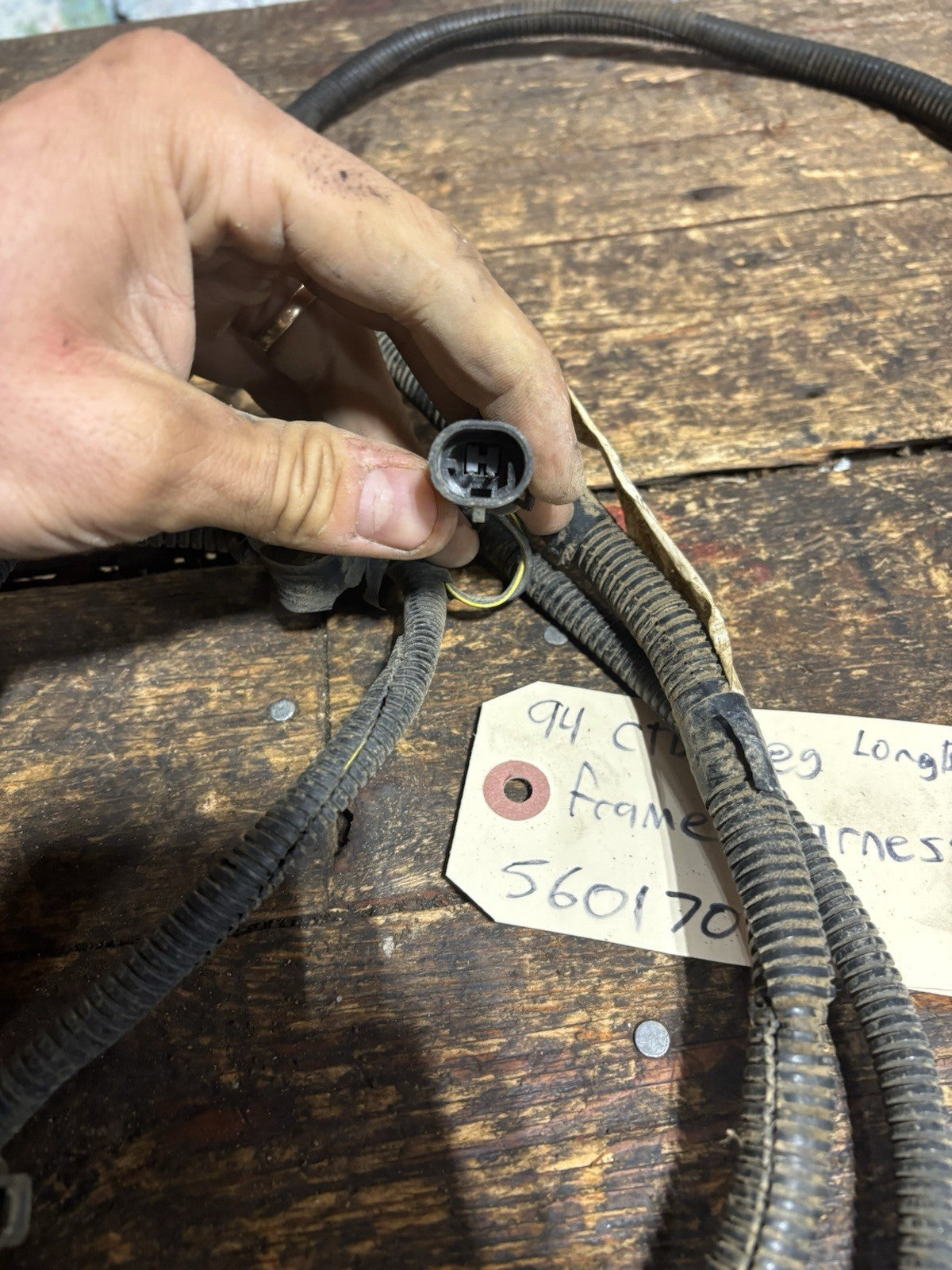 1994 DODGE RAM 2500 CUMMINS REGULAR CAB LONG BOX CHASSIS FRAME HARNESS 56017026