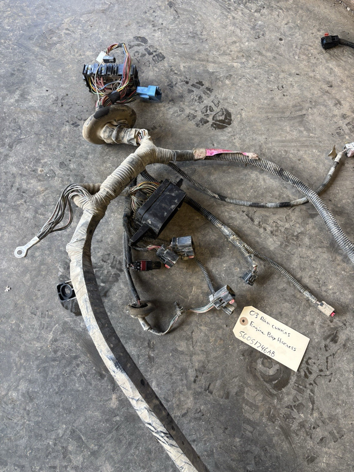 2003 2004 DODGE RAM 2500 3500 CUMMINS ENGINE BAY MANUAL TRANS HARNESS 56051746AB