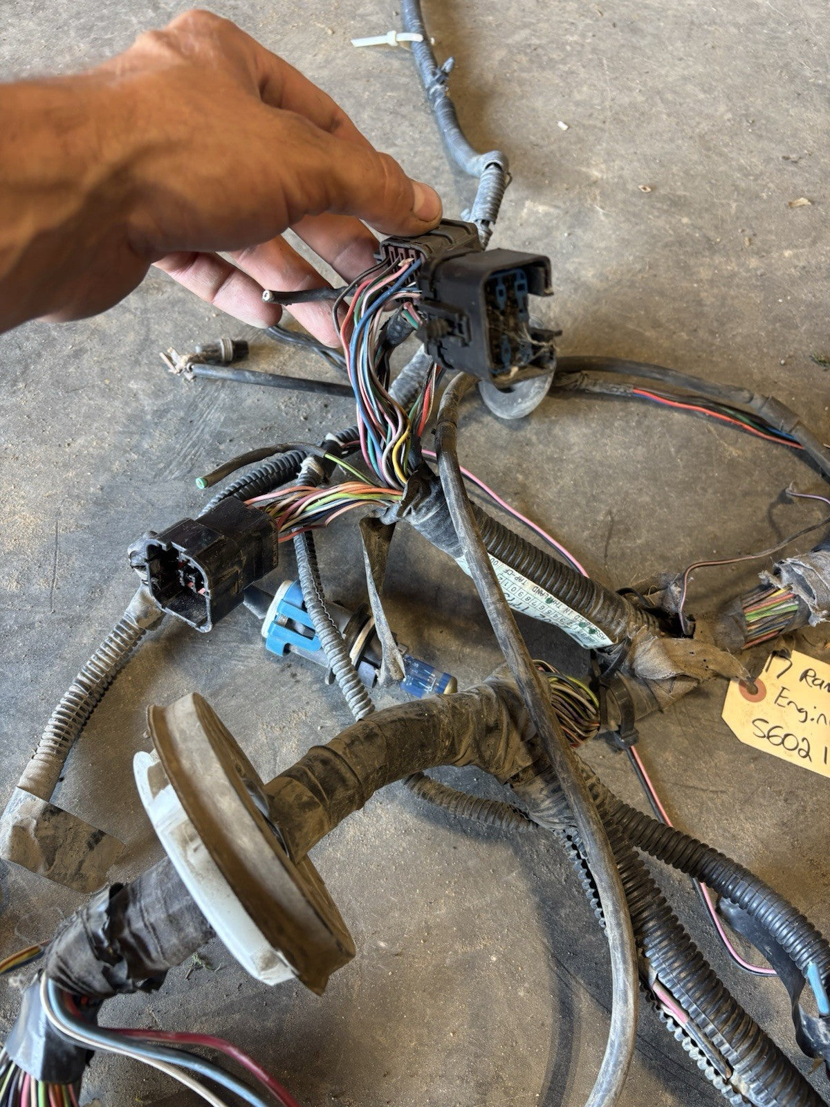 1997 DODGE RAM 2500 3500 CUMMINS ENGINE BAY WIRING HARNESS 56021773 Needs Work