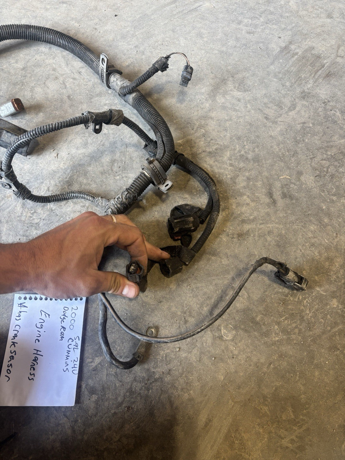 2000 Early 2001 DODGE RAM 2500 3500 CUMMINS 24V ENGINE HARNESS  With Cranksensor