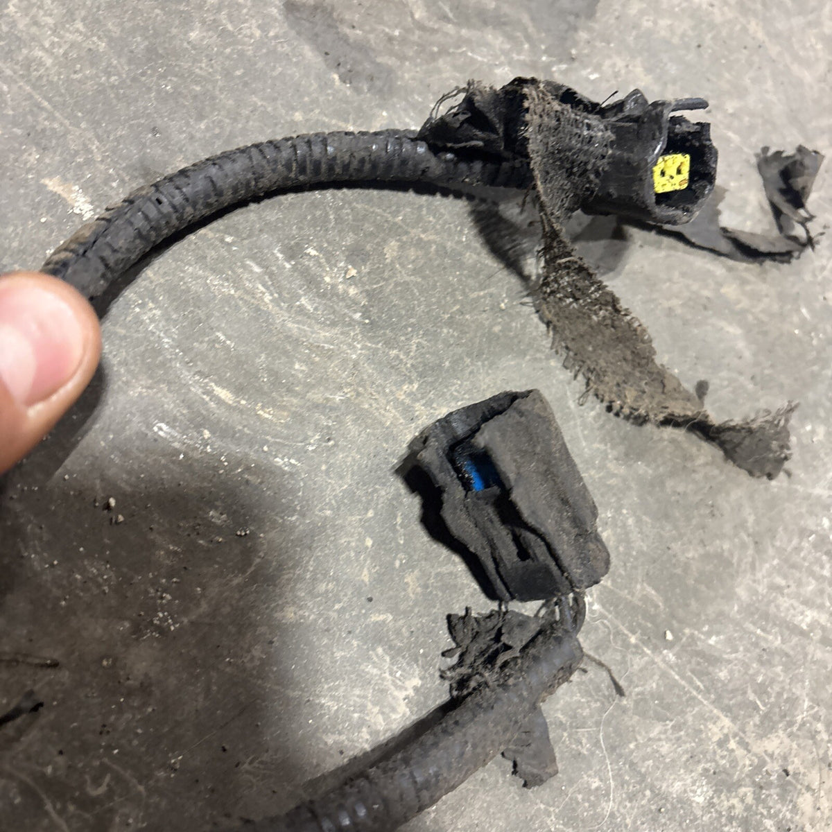 2000 .5 2001 DODGE RAM 2500 3500 5.924v CUMMINS 5SPD 6SPD ENGINE HARNESS 3946666