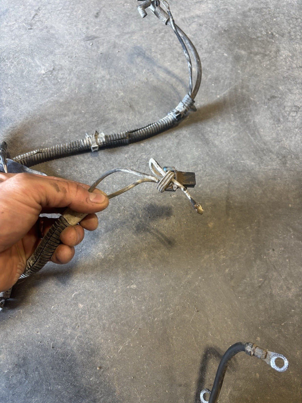 1995 DODGE RAM 2500 3500 CUMMINS 5.9 ENGINE MANUAL TRANSMISSION HARNESS 56020015