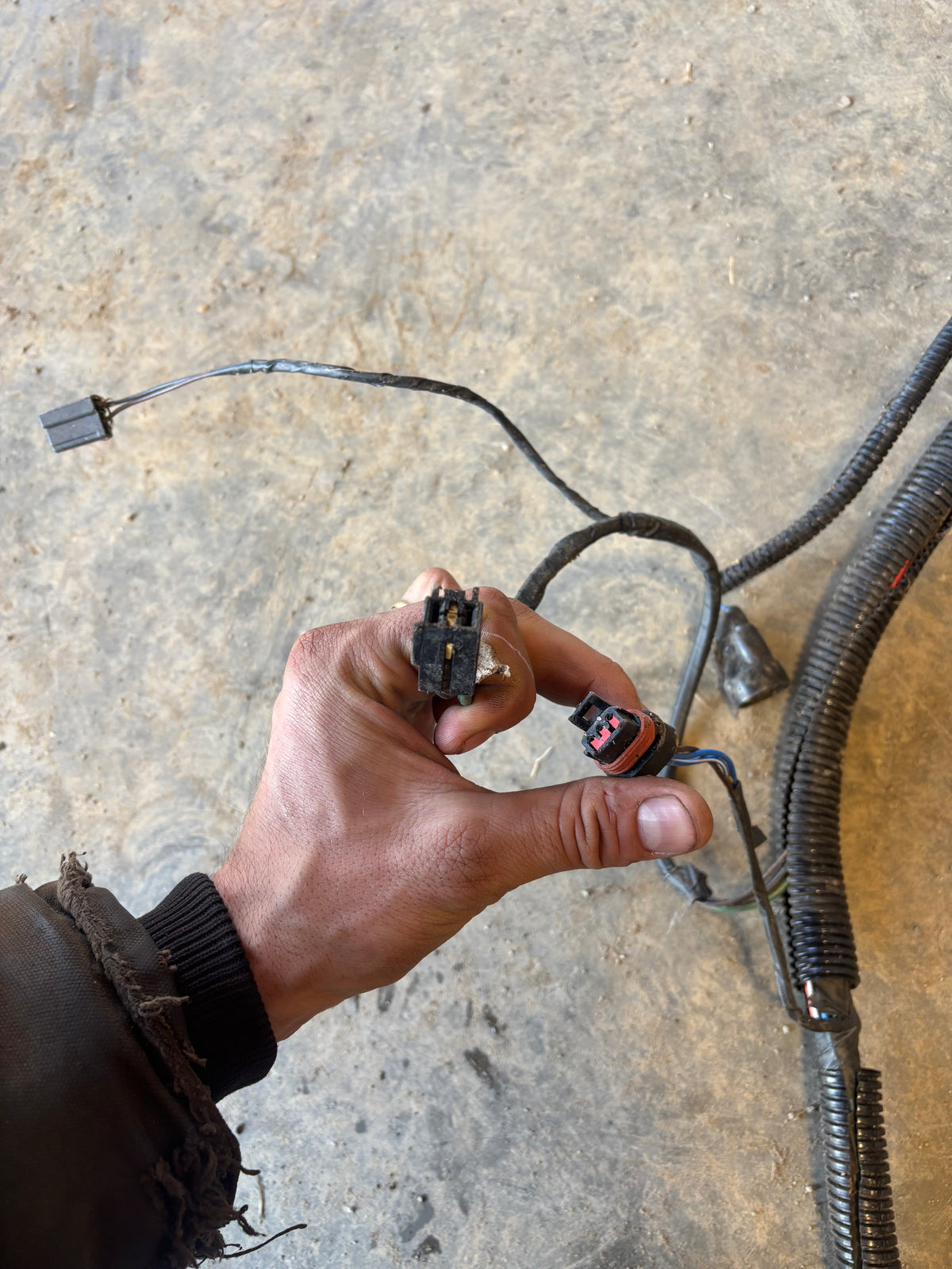 91 Dodge Ram Intercooled Cummins Engine Bay Wiring Harness