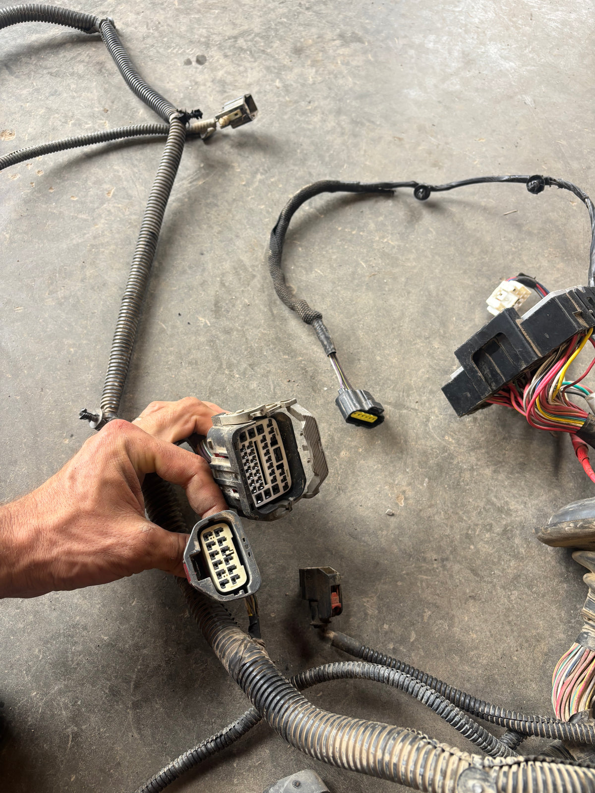 05 Dodge Ram Cummins Automatic Engine Bay Harness