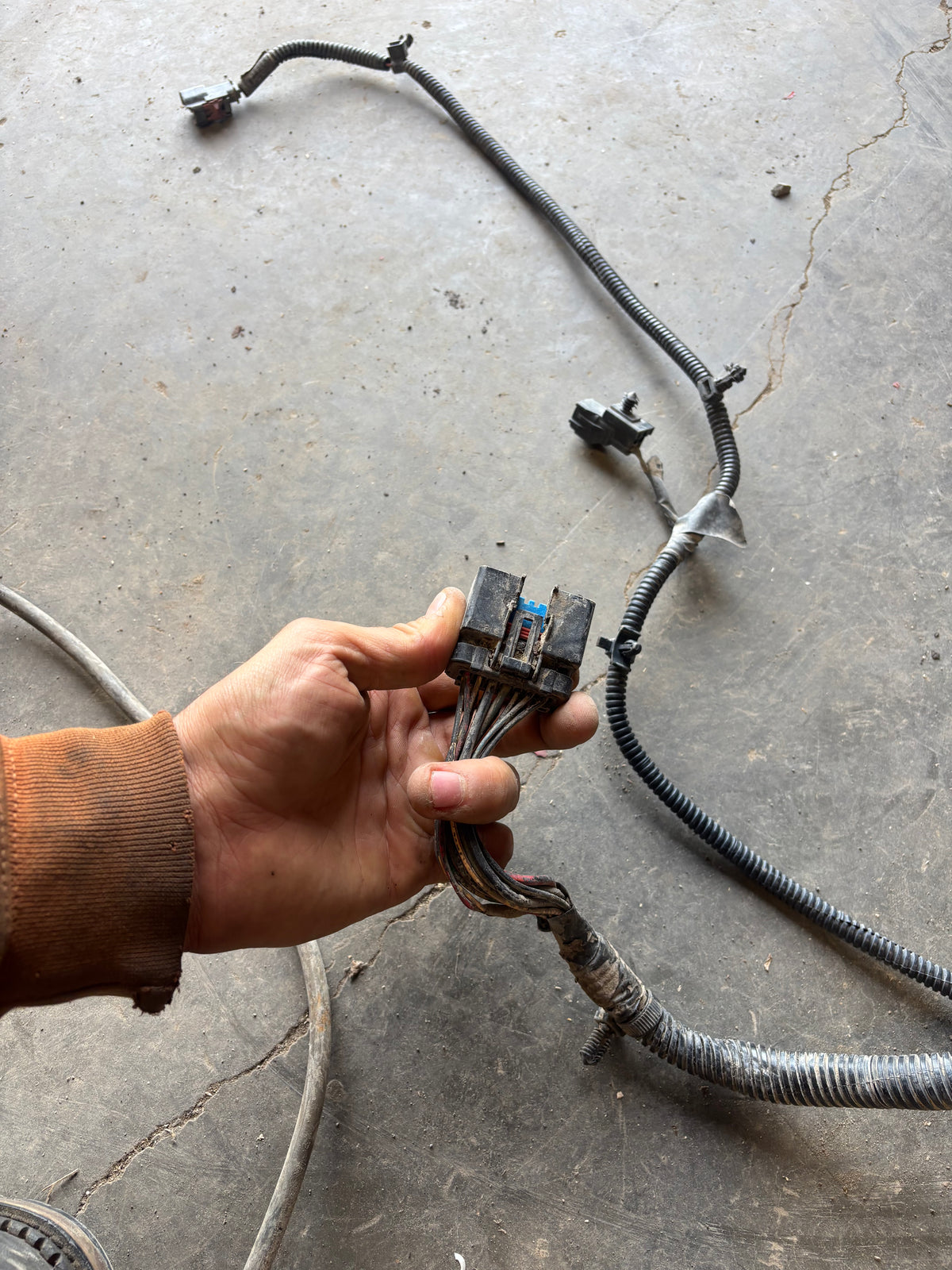 00 01 Dodge Ram Cummins Engine Bay Wiring Harness