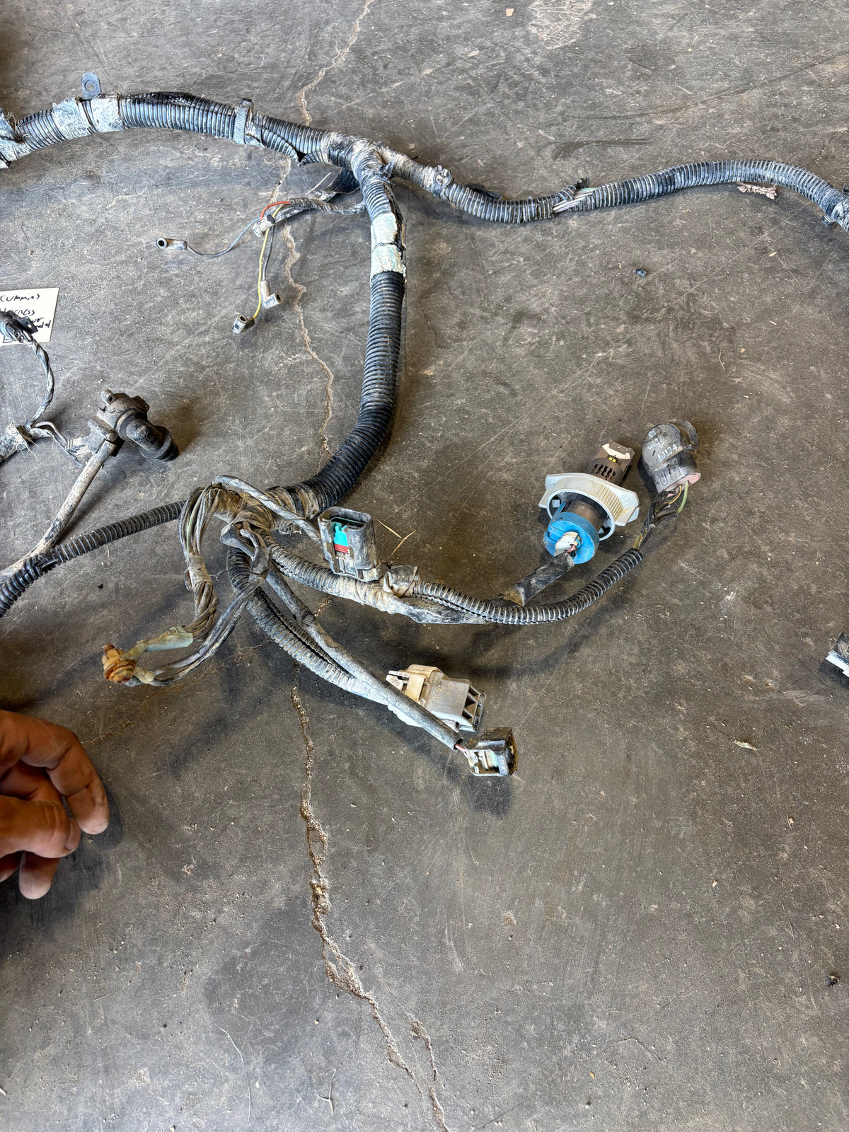 00 01 Dodge Ram Cummins Engine Bay Wiring Harness