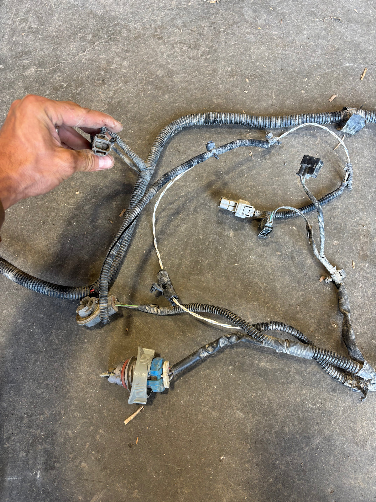 00 01 Dodge Ram Cummins Engine Bay Wiring Harness